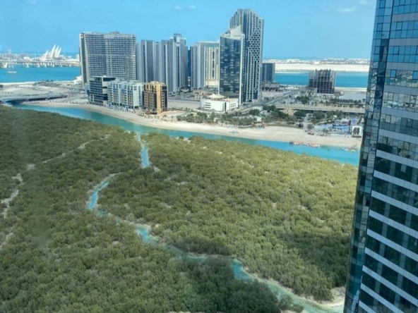 Full Mangrove View|High Floor 1BR|Fully Furnished – UAEMCS-11926