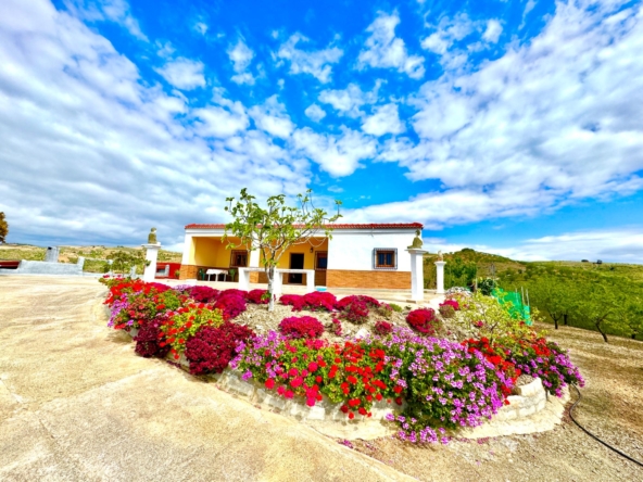Charming 3-Bedroom Country House for Sale in Albondón with Stunning Views – D45932