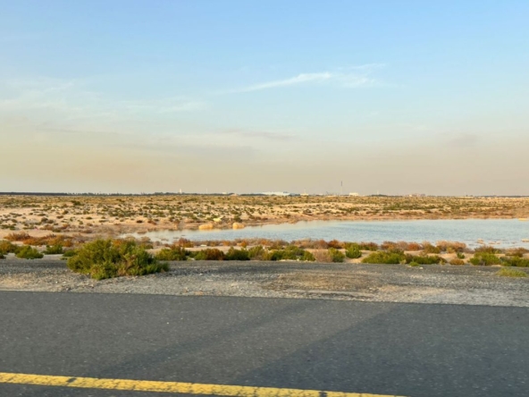 Perfect Size | Affordable Price | Prime Area – UAEMSP-17002