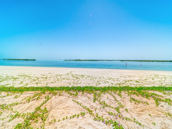 Corner Unit|Direct to Mangrove|Near by the Beach – UAEMCSP-19875